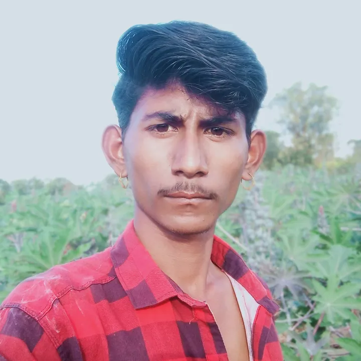 @pintubhaithakor51