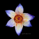 @lovemyartist