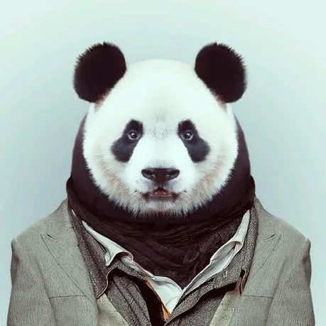 allen.ye