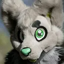 @arlowolf