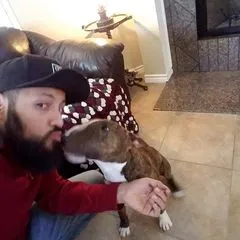 @mikesanchez347