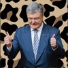 polityka.che