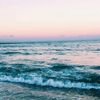 beachyvsco19