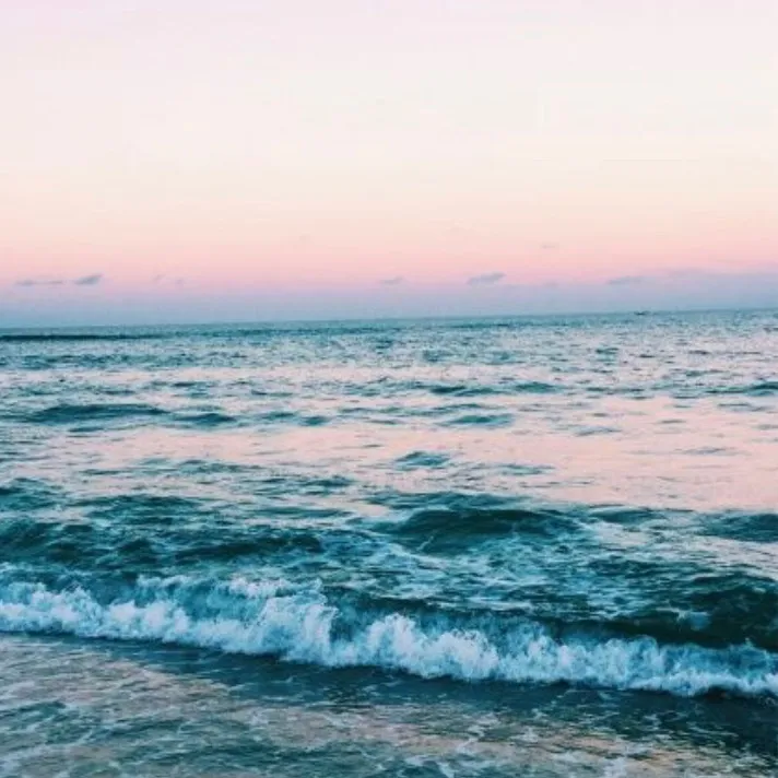 @beachyvsco19