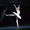 @balletblogx