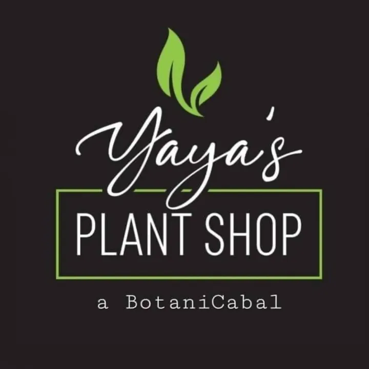 yayasplantshop