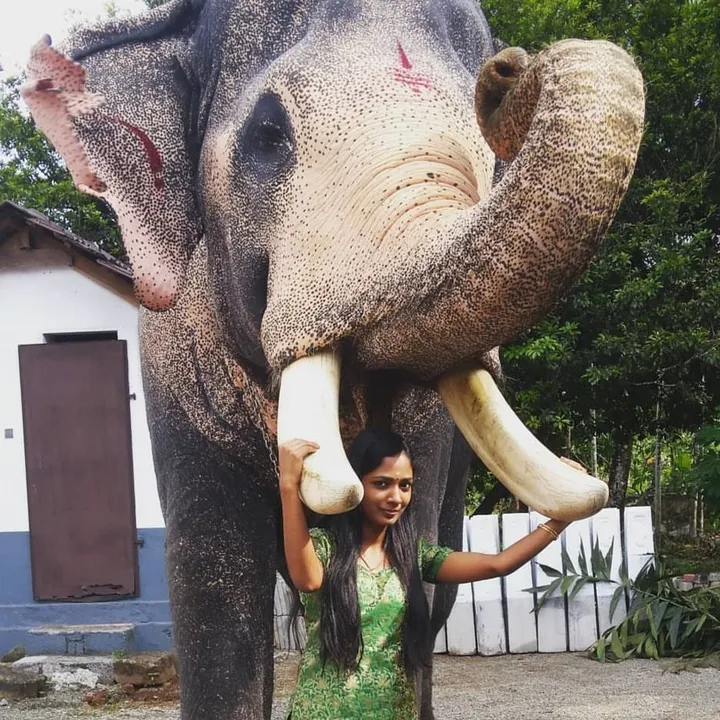 malu.varsha