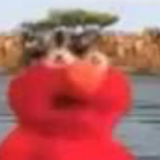 dat_poo