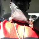 @anthonywalker7240