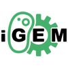 igem_hq