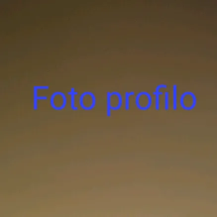 gibo527