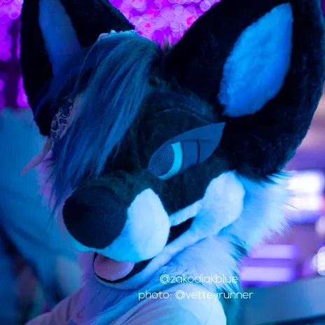 @zakodiakblue