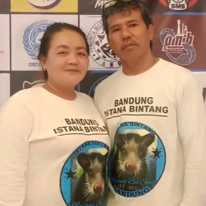 istanabintang_