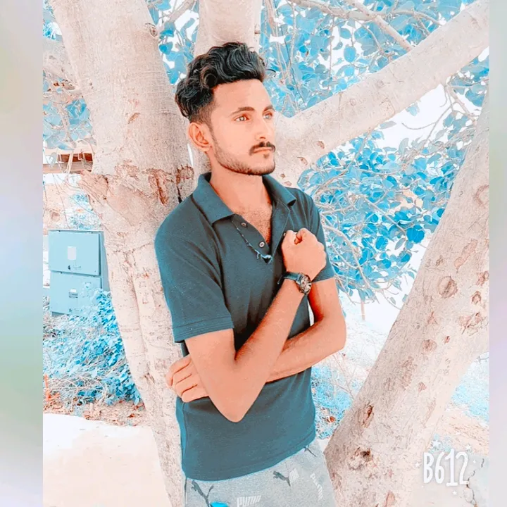 pandit__anshul_