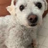 cooperandmatilda