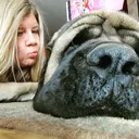 @big_paw_mastiffs