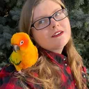 @birdtails