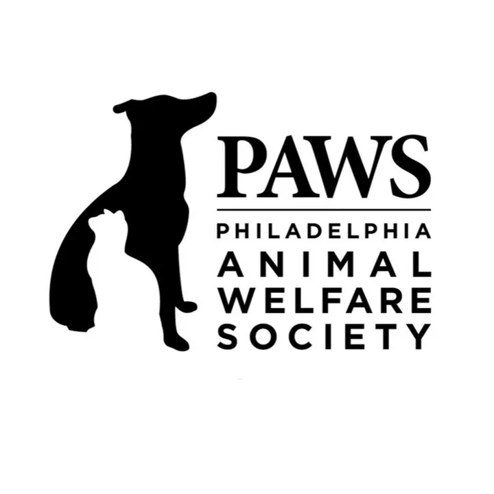 phillypaws