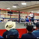 @rocco_espinoza