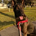 @pawsitively_mad