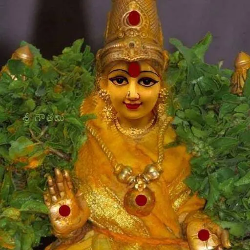 @user1613649144571
