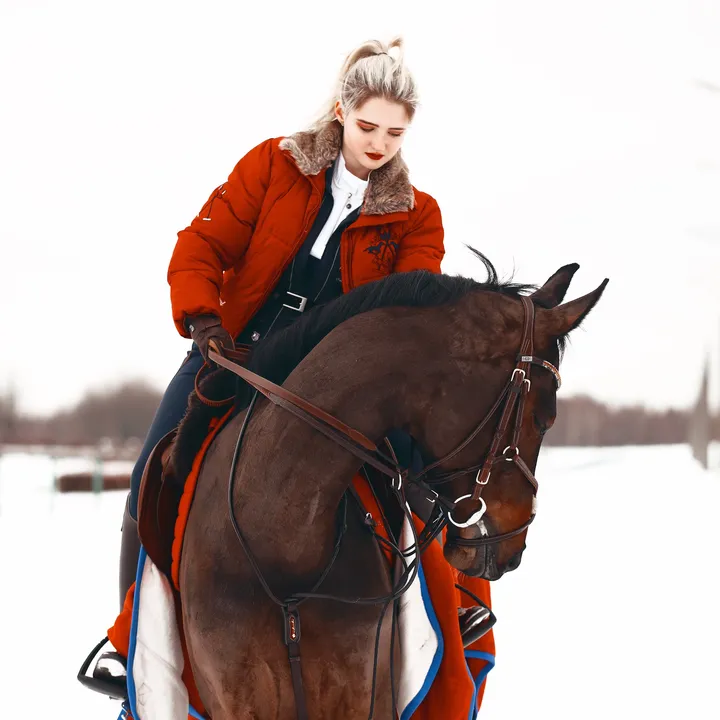 release_equestrian