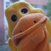 donladduck2