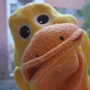 @donladduck2
