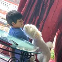 @krish__kumar0501