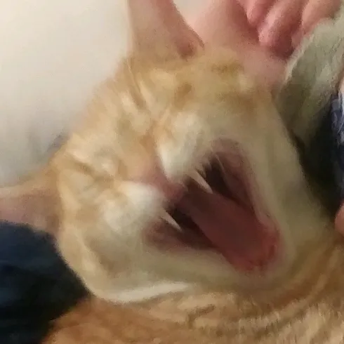 jaynenew1