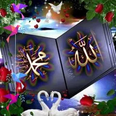 shumaila.danish