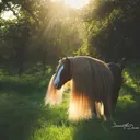 @starfiregypsy