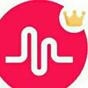 @yoyo.yogi