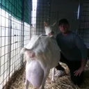 @pablo_sr86