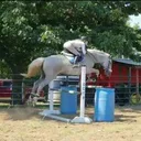 @thehorsegallery