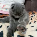 @kotiki30