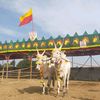 kumargowda49