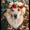 so.cute_animals