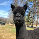 @taprackranch