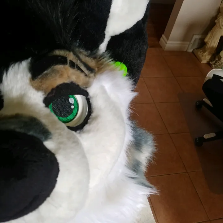 @ryker_mutt