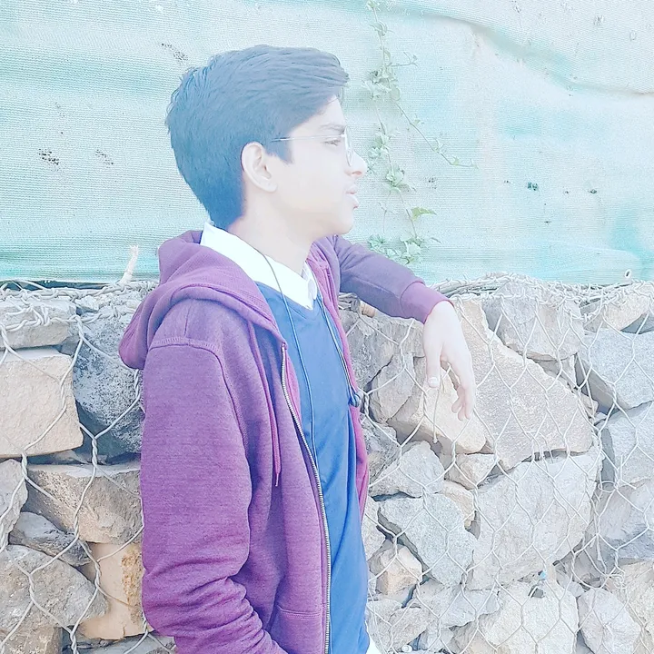 veerbhatt8