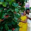 dhanapriya1