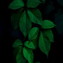 @rakeshmudraveni44