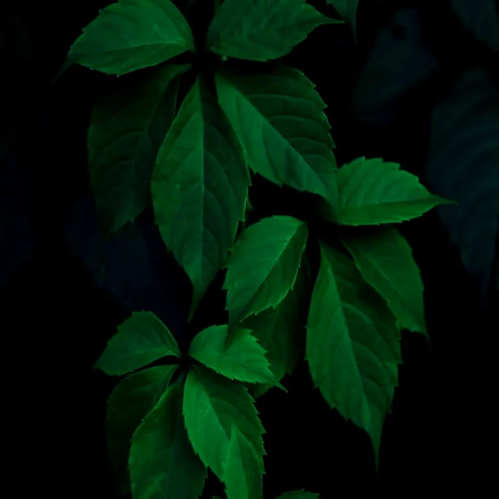 @rakeshmudraveni44