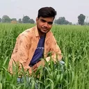 @brajgujrati799