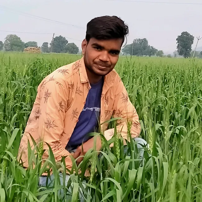 @brajgujrati799