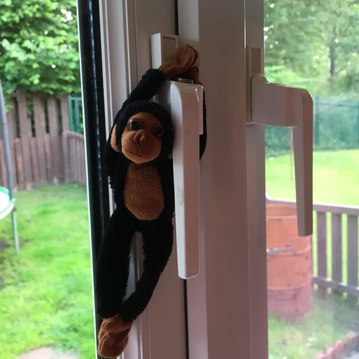 _tiny_the_monkey