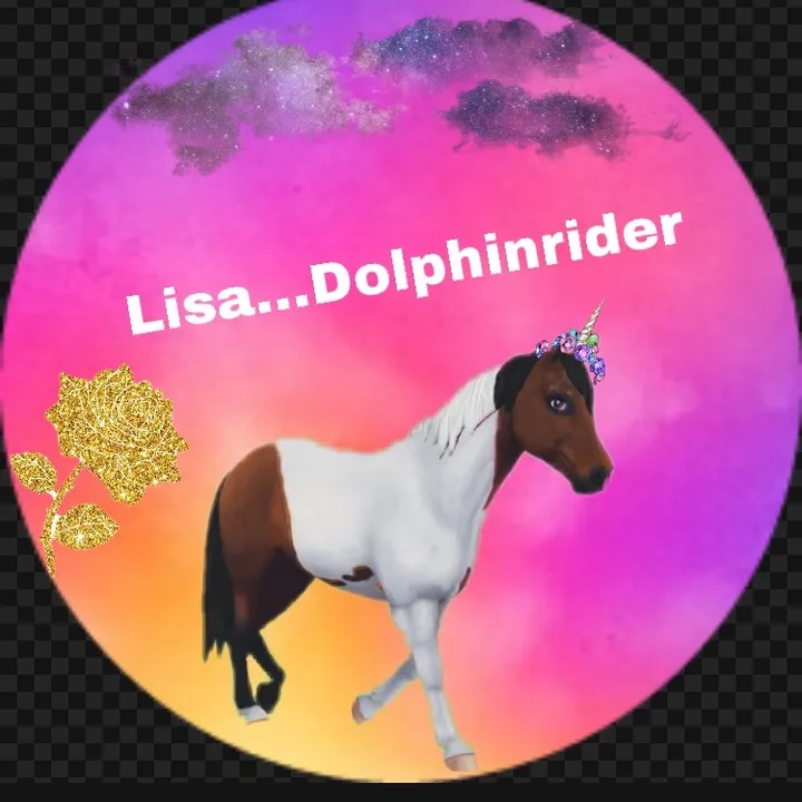 @lisa...dolphinrider