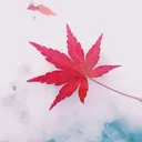 @plantlovernick