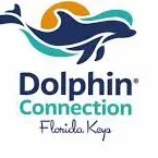 @dolphinconnection